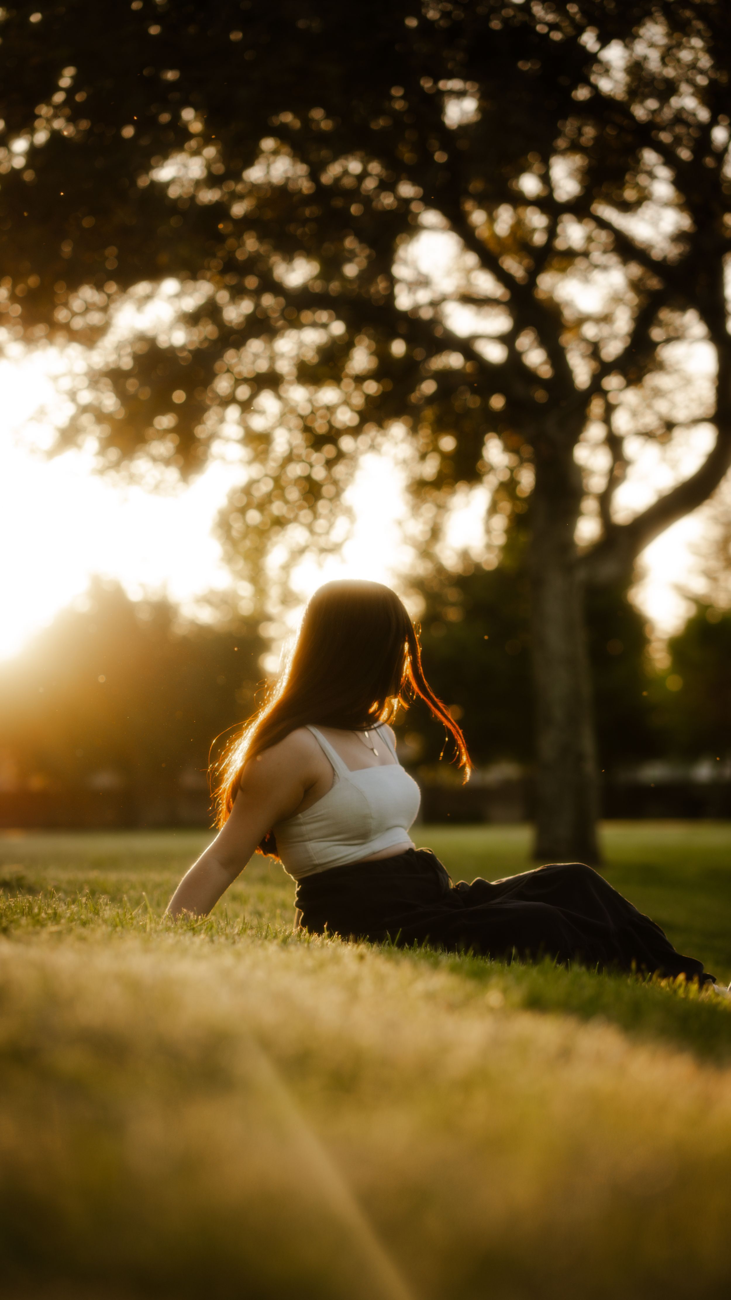 Silhouetted figure relaxing on grass during golden hour sunset with backlighting through trees.