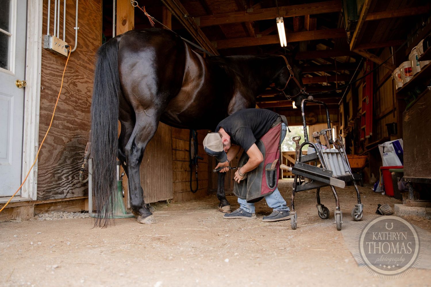 Farrier performing hoof maintenance on a dark horse inside a stable.