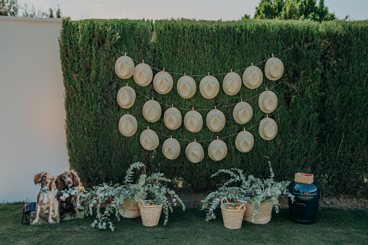 White balloon decorations hang against a lush green hedge with potted plants and dogs in an outdoor setting.