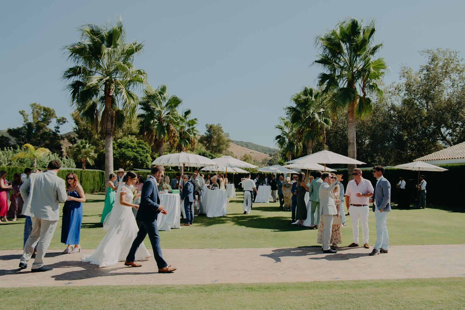 Guests mingle on a sunny lawn with palm trees during an outdoor wedding reception.