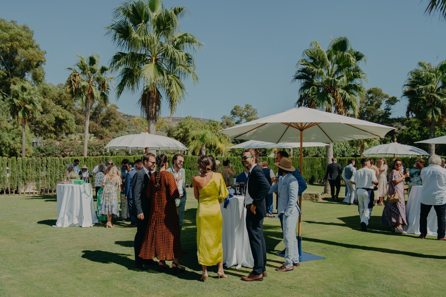 Wedding guests gathered on a sunny lawn with palm trees and umbrellas.