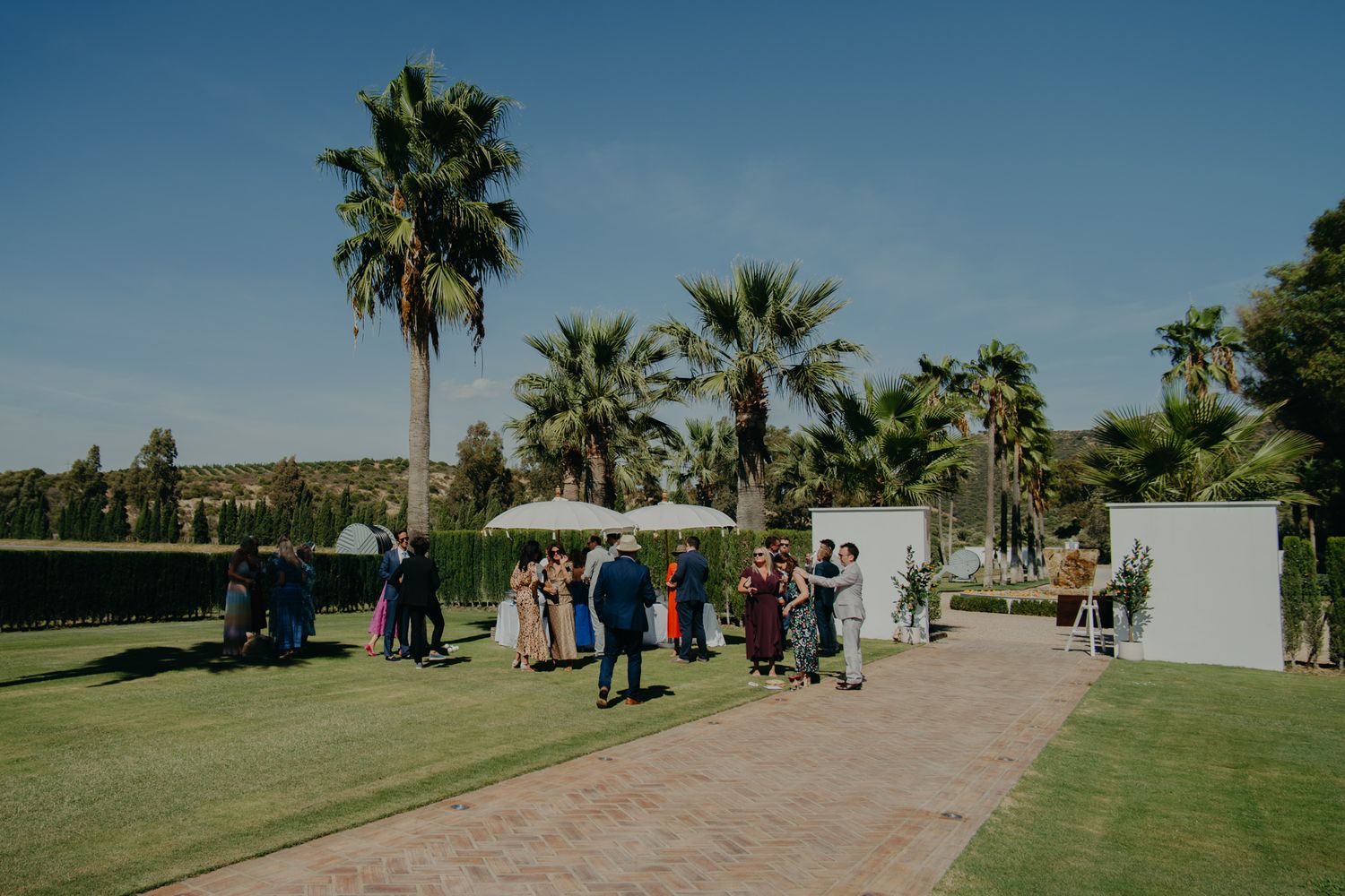 Wedding guests gather on manicured lawn with palm trees under bright blue sky.