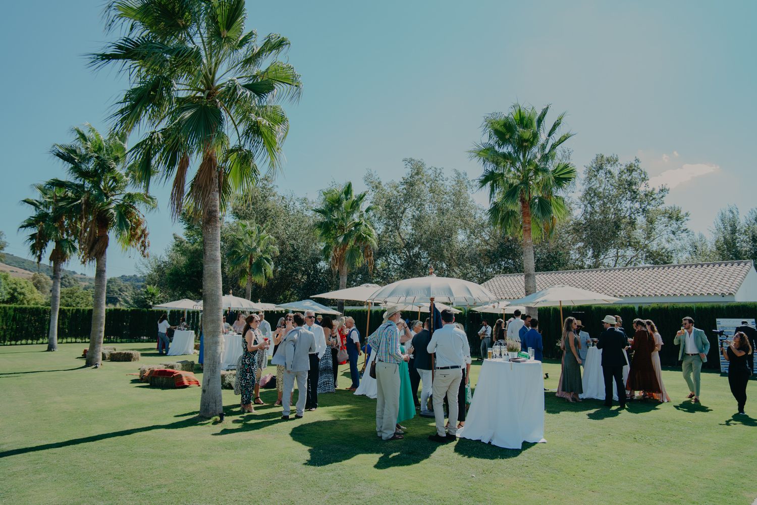 Wedding guests mingle on a sunny lawn with palm trees during an outdoor reception.
