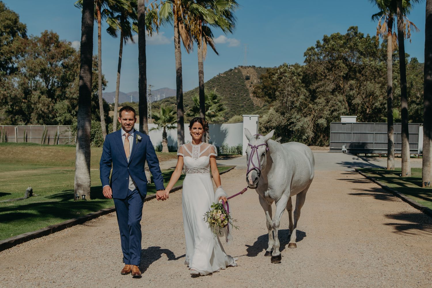 A couple walks with a white horse along a palm-lined path at their wedding venue.