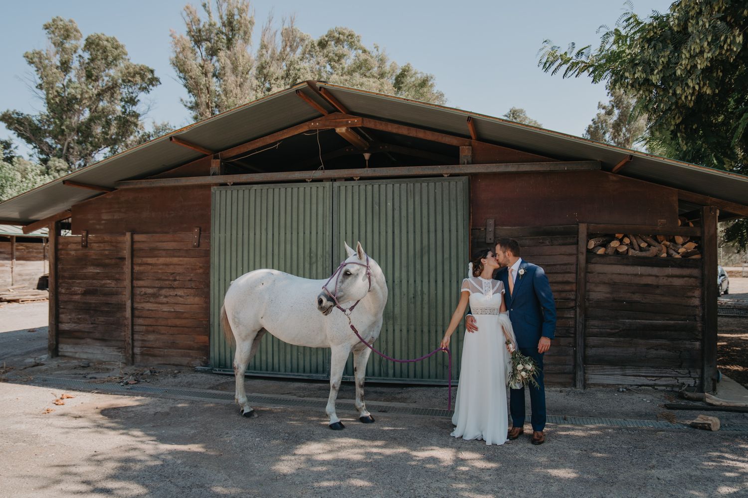 A white horse stands beside a rustic wooden barn while a couple celebrates their wedding day outdoors.
