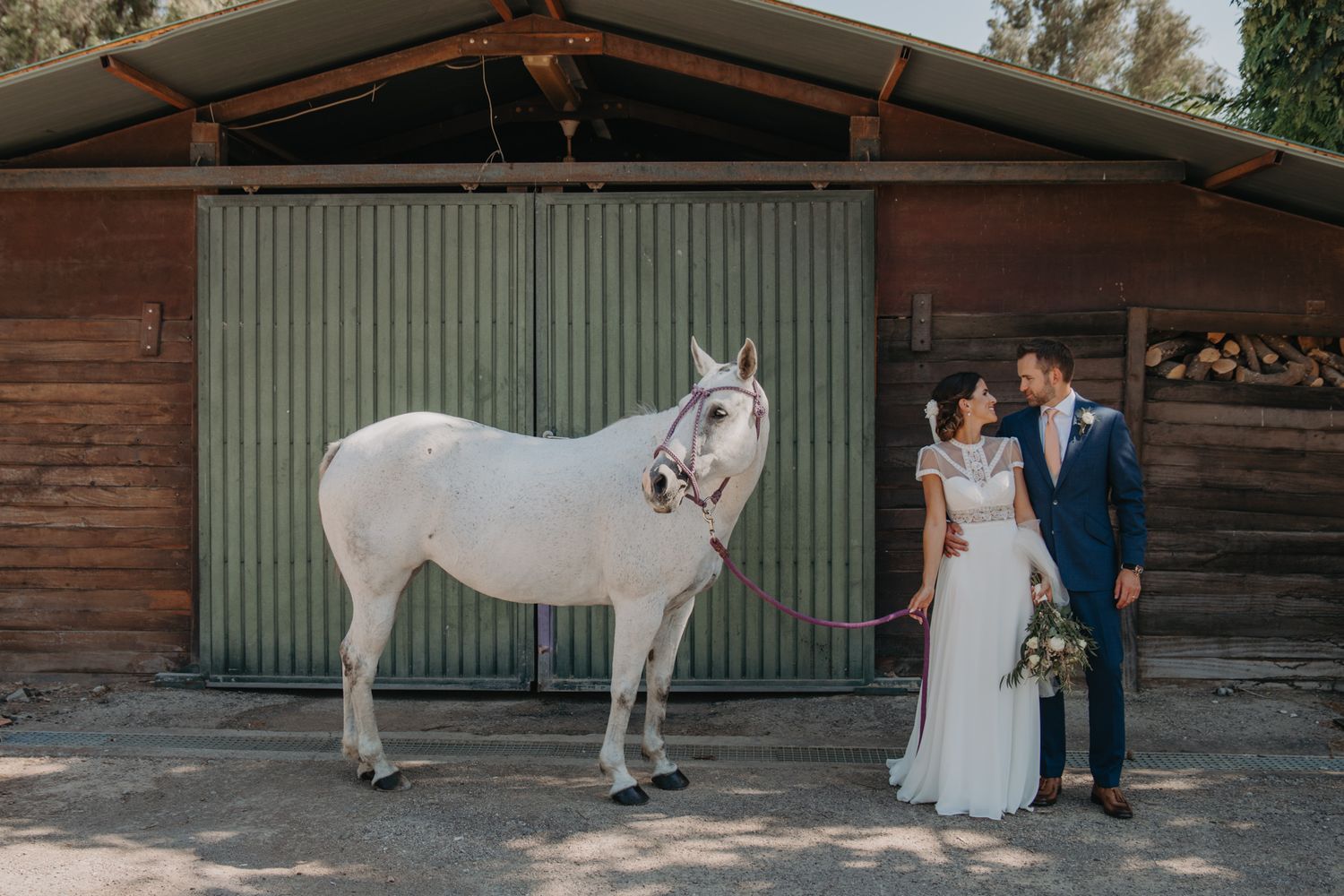 A white horse poses with a wedding couple outside a rustic wooden barn.