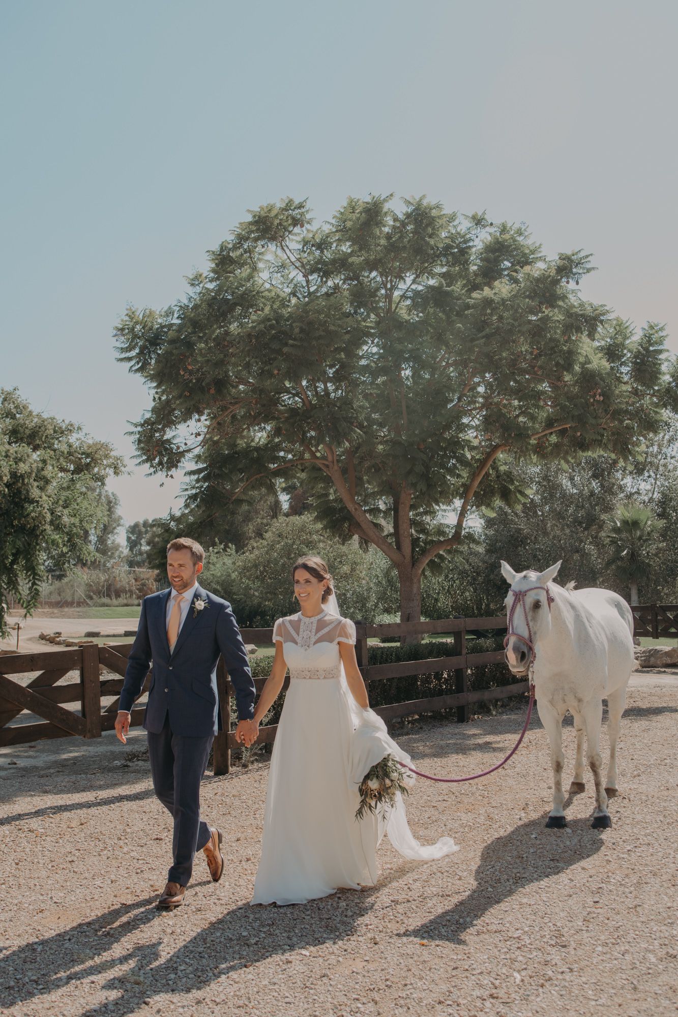 A lovely wedding scene with a white horse on a path surrounded by trees.