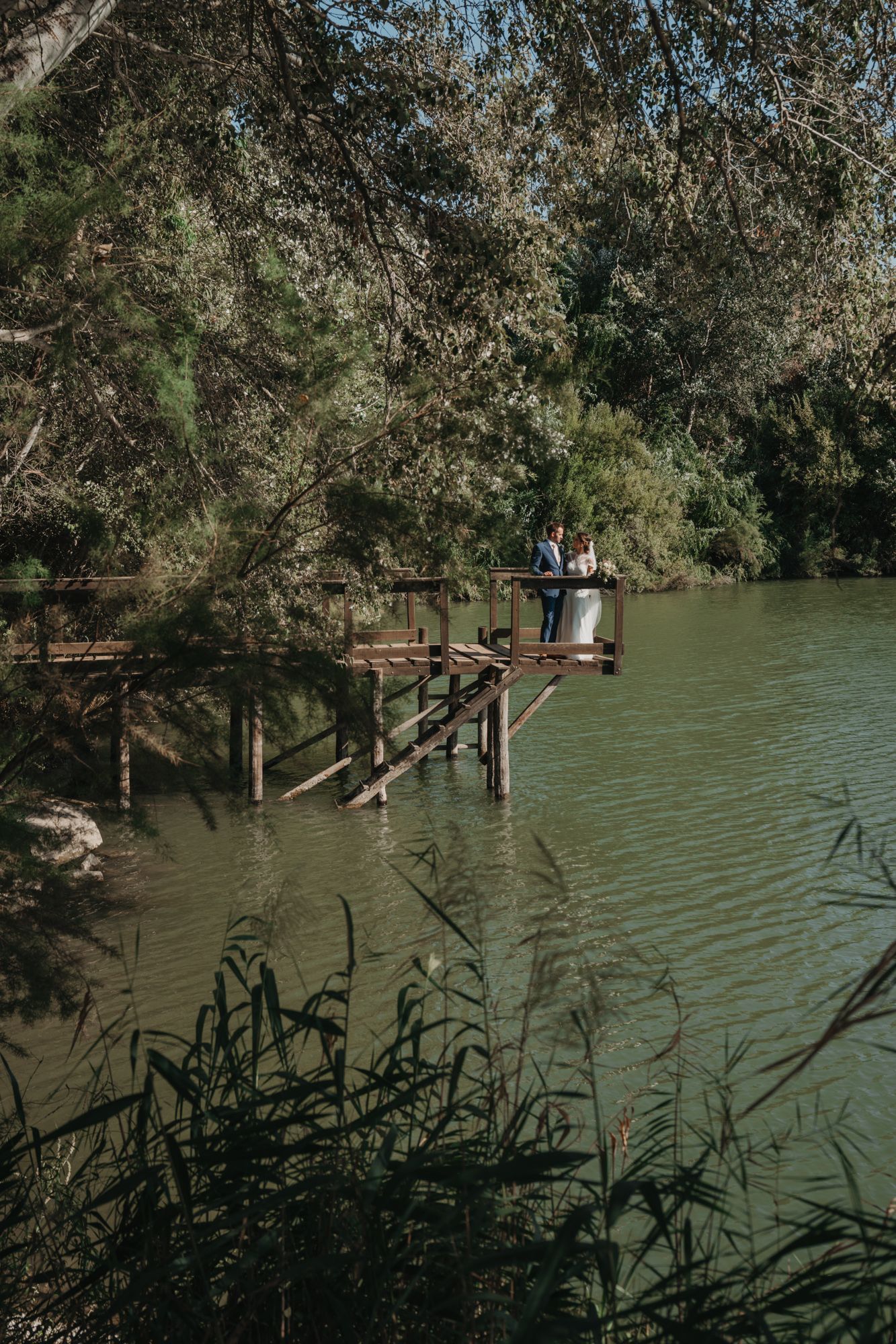 A wooden dock extends over a serene lake surrounded by lush trees.