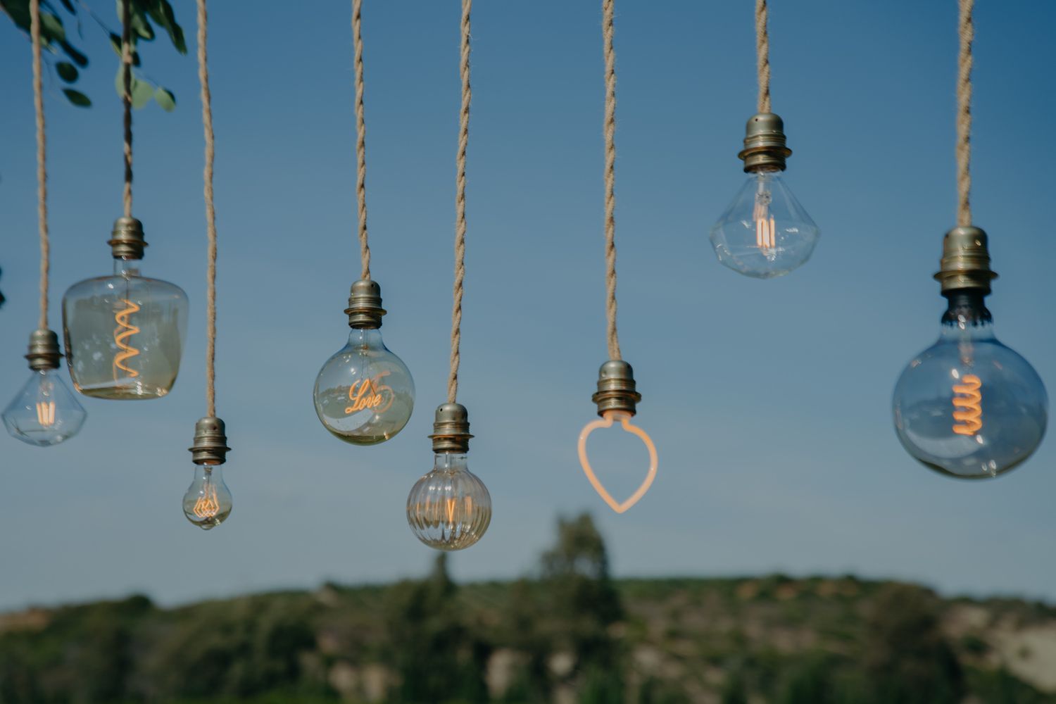 Vintage Edison bulbs hanging from ropes against a blue sky create a romantic atmosphere.