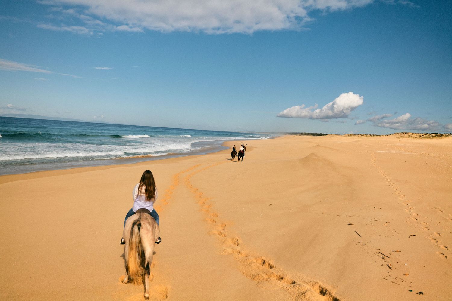 Horseback riders trek along a scenic golden beach with rolling waves and blue skies on a sunny day.