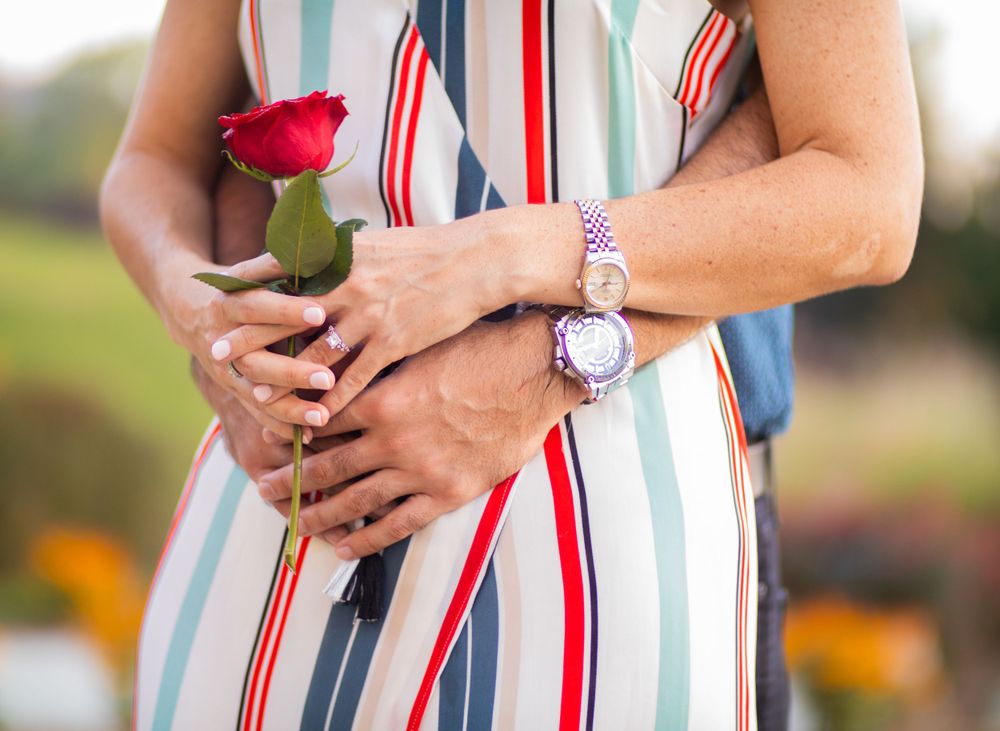 Close up view of hands holding a red rose while wearing a striped dress and silver watch.