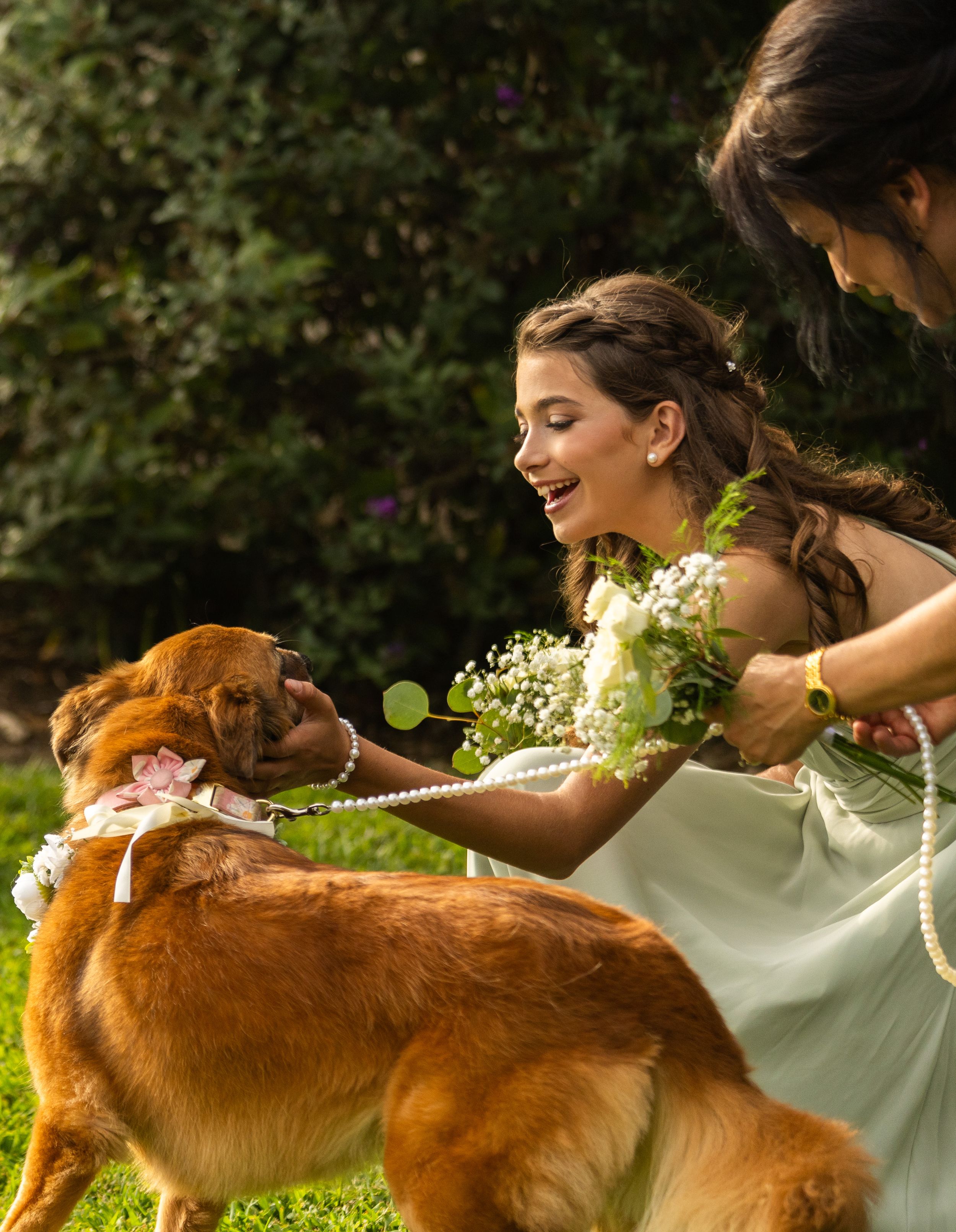 A golden retriever dog in a garden receives love and attention while wearing a floral collar on a sunny day.