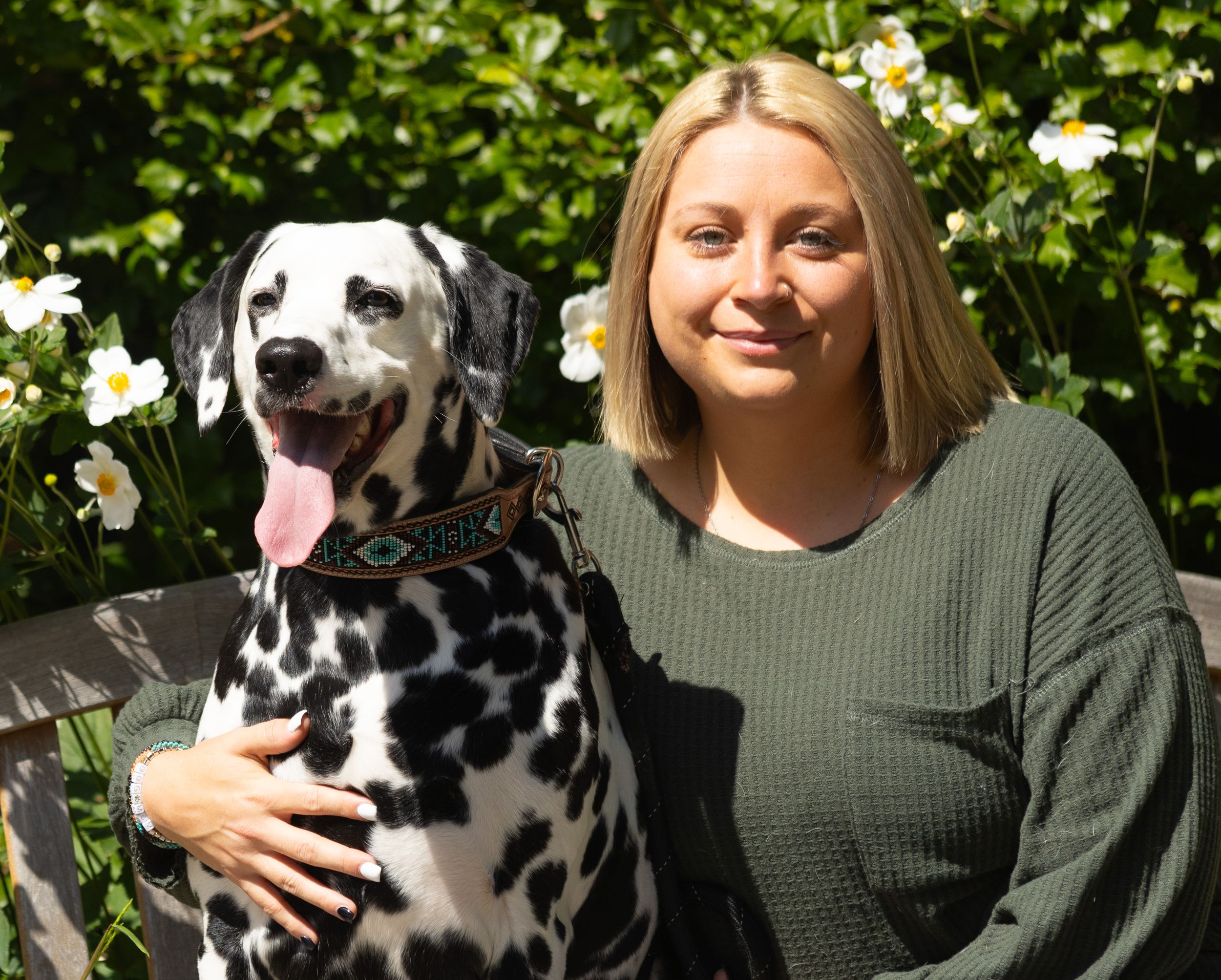 A spotted Dalmatian dog and someone sitting together in a sunny garden with white flowers in the background.