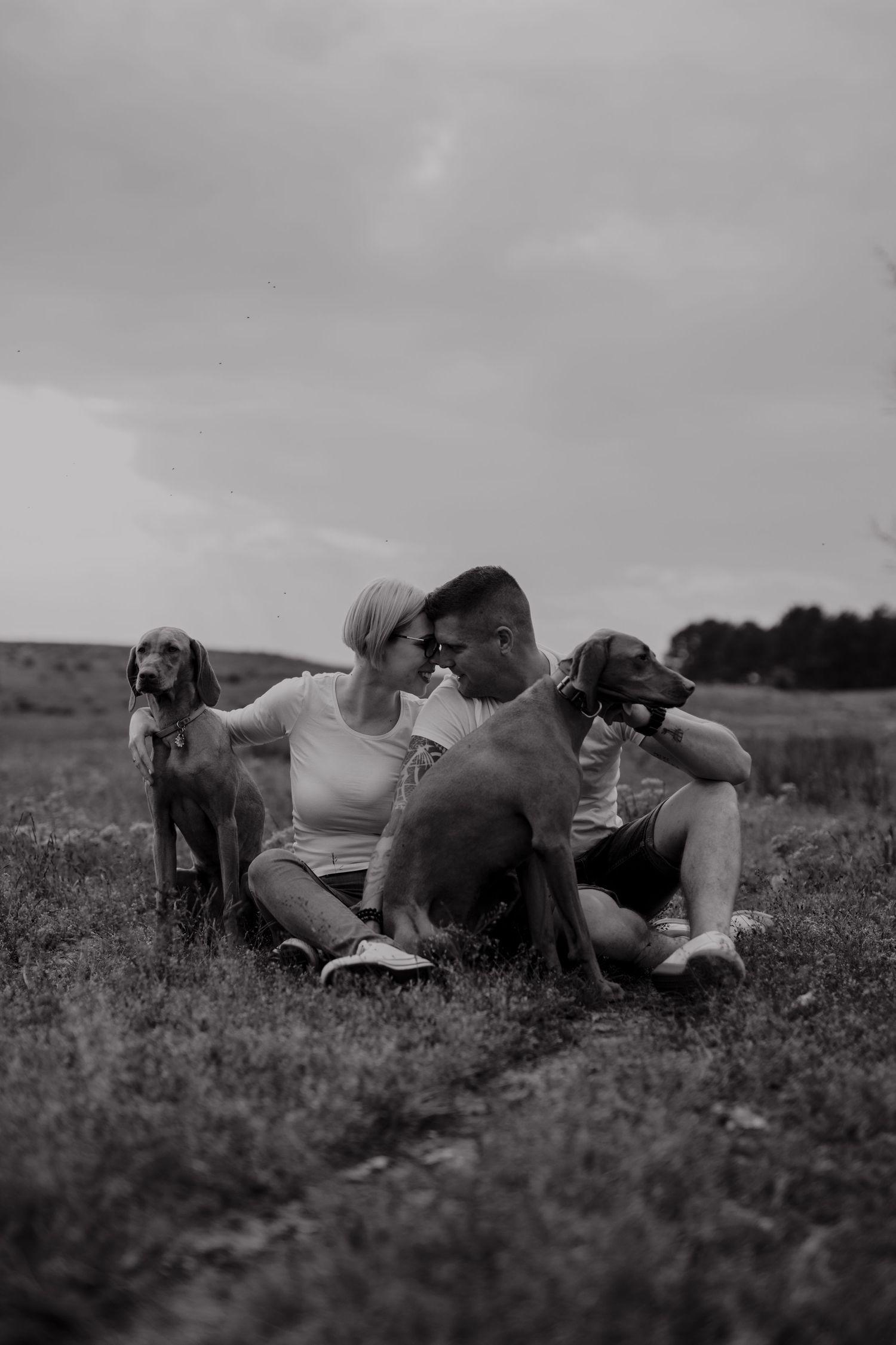 Two Vizsla dogs sit with their owners in a field under moody grey skies.