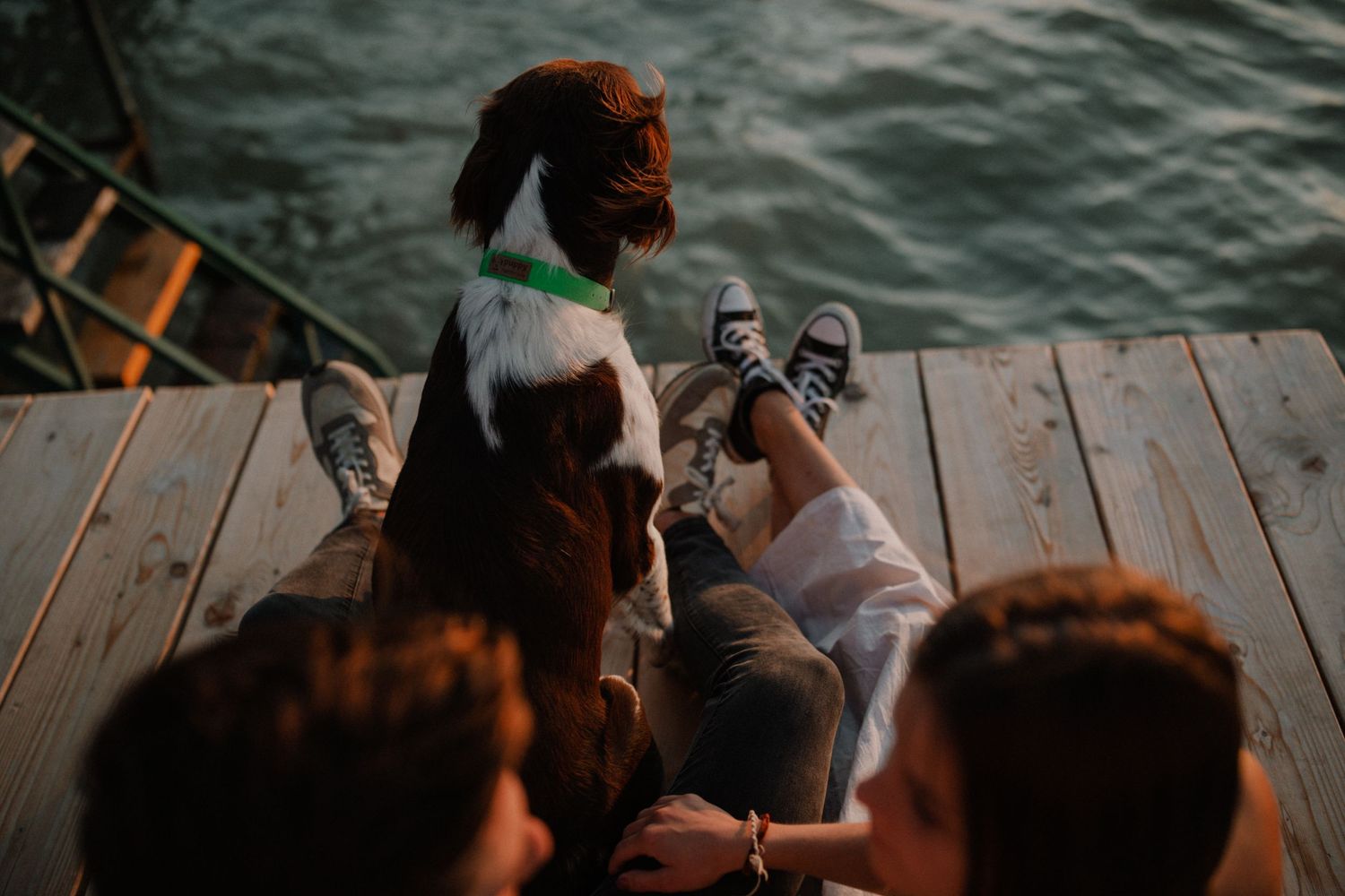 A brown dog sits on a wooden dock by the water during sunset.