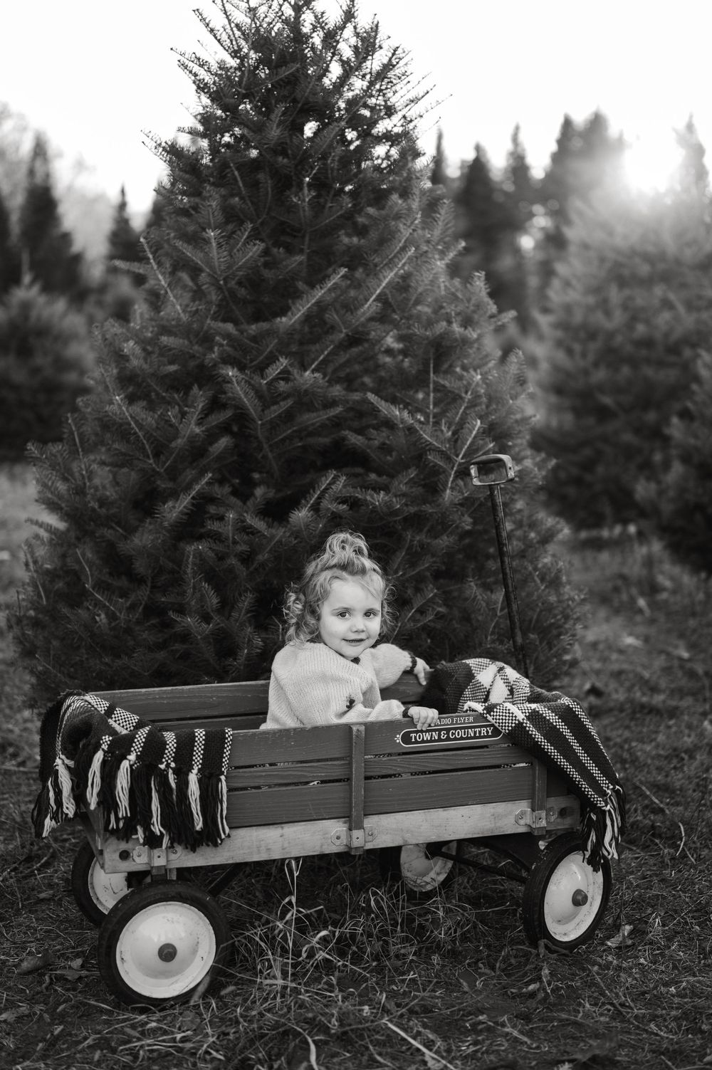 Toddler sitting in a vintage Town & Country wagon at a Christmas tree farm, black and white photo.
