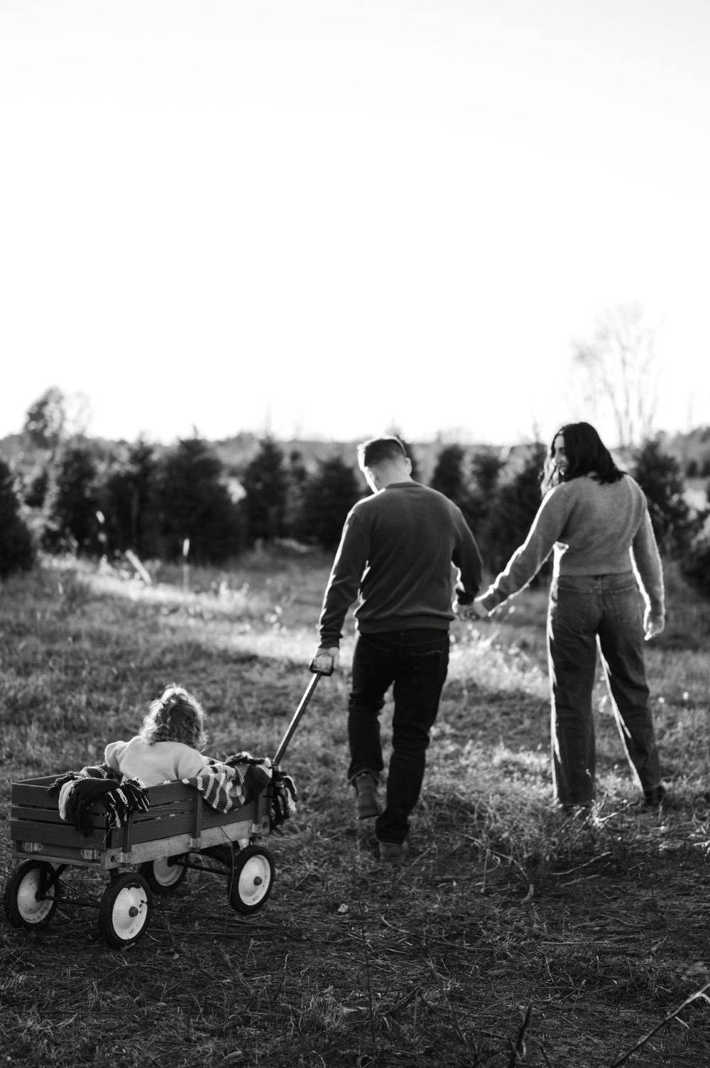 Black and white photo of a couple holding hands walking through a Christmas tree farm while pulling a child in a wagon.