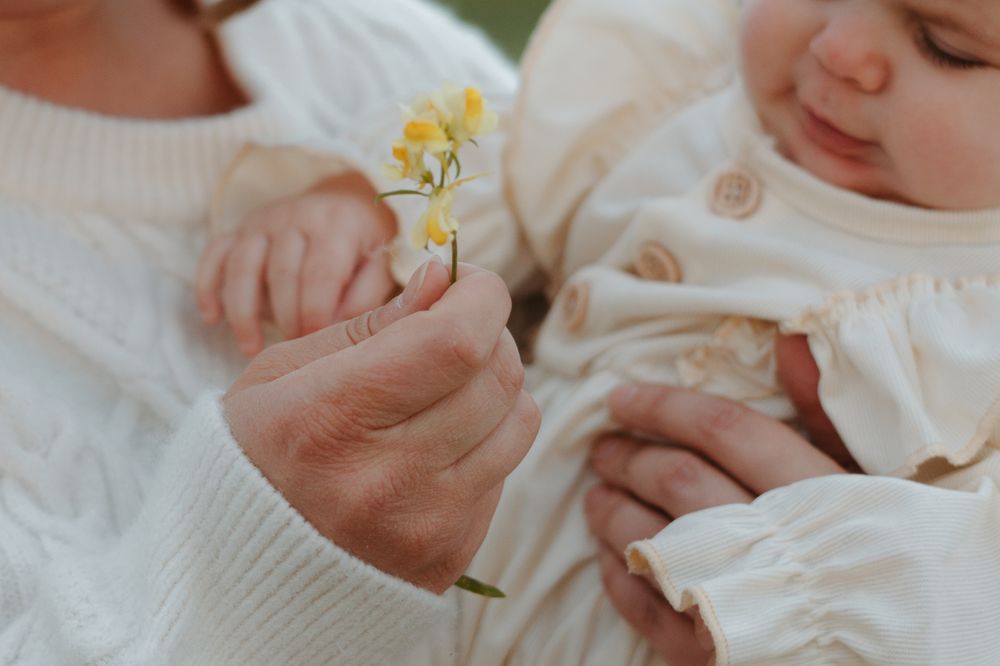 A small yellow wildflower is held gently near a baby wearing a white cotton outfit.