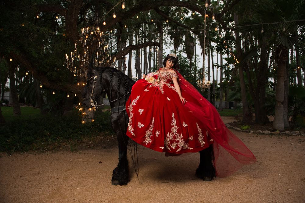 Magical forest photoshoot featuring a flowing red ballgown and majestic black horse under twinkling lights.