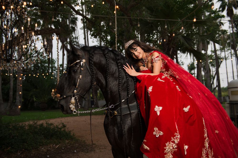 Elegant red ballgown with butterfly details photographed with a black horse in a dreamy forest setting.