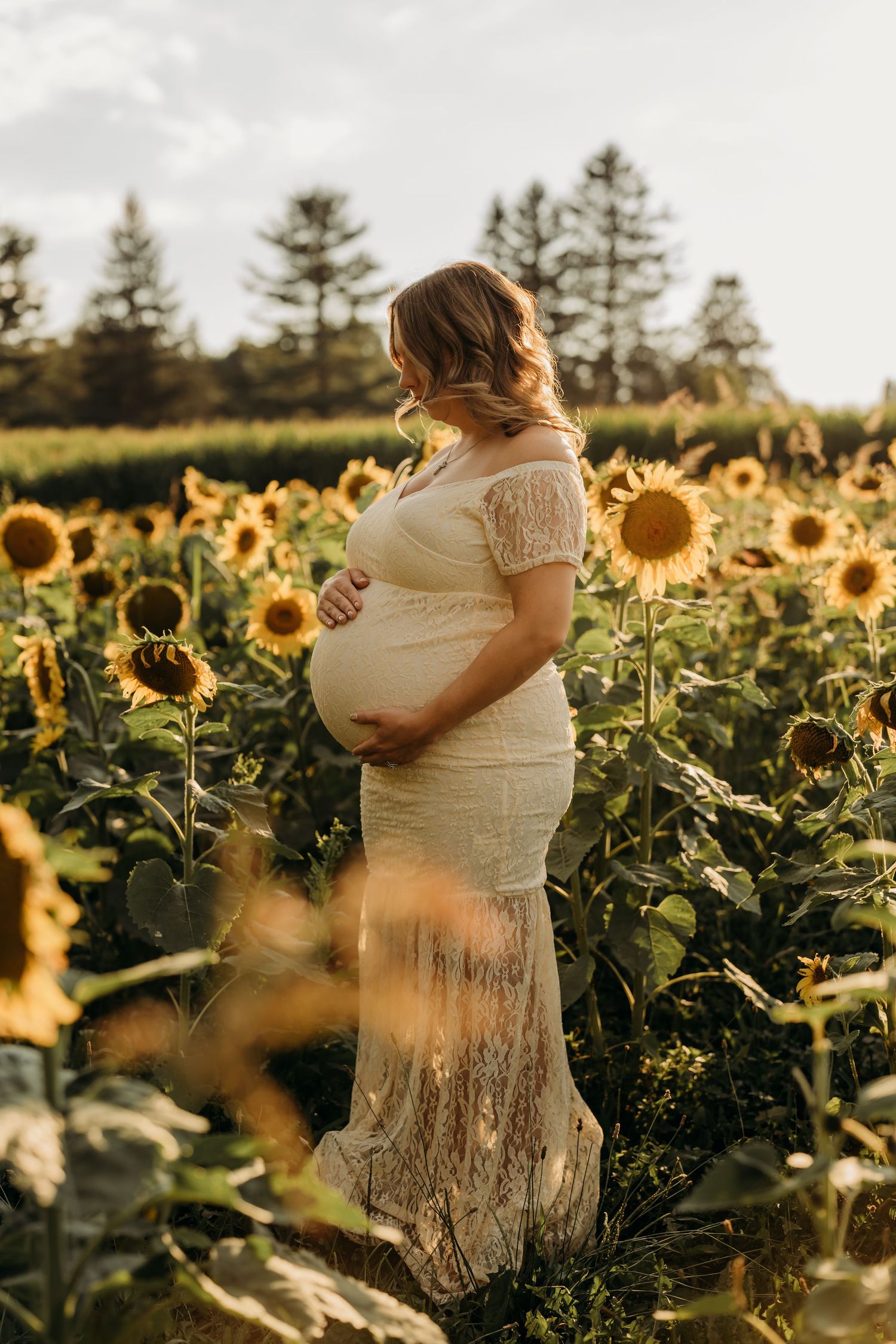 A maternity portrait in a lace dress among blooming sunflowers at dusk.