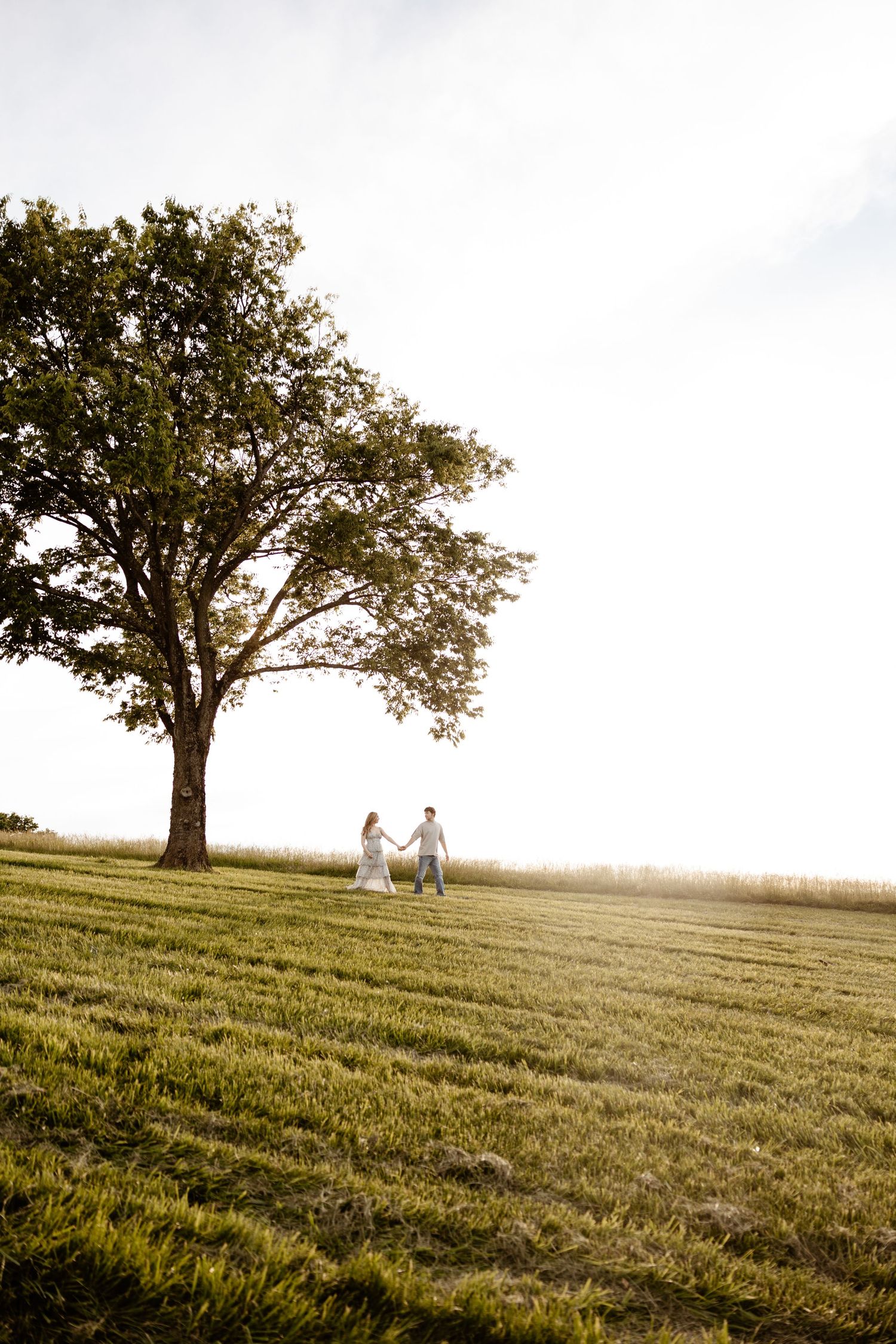Couple holding hands walking across a green hillside beside a large oak tree at golden hour.