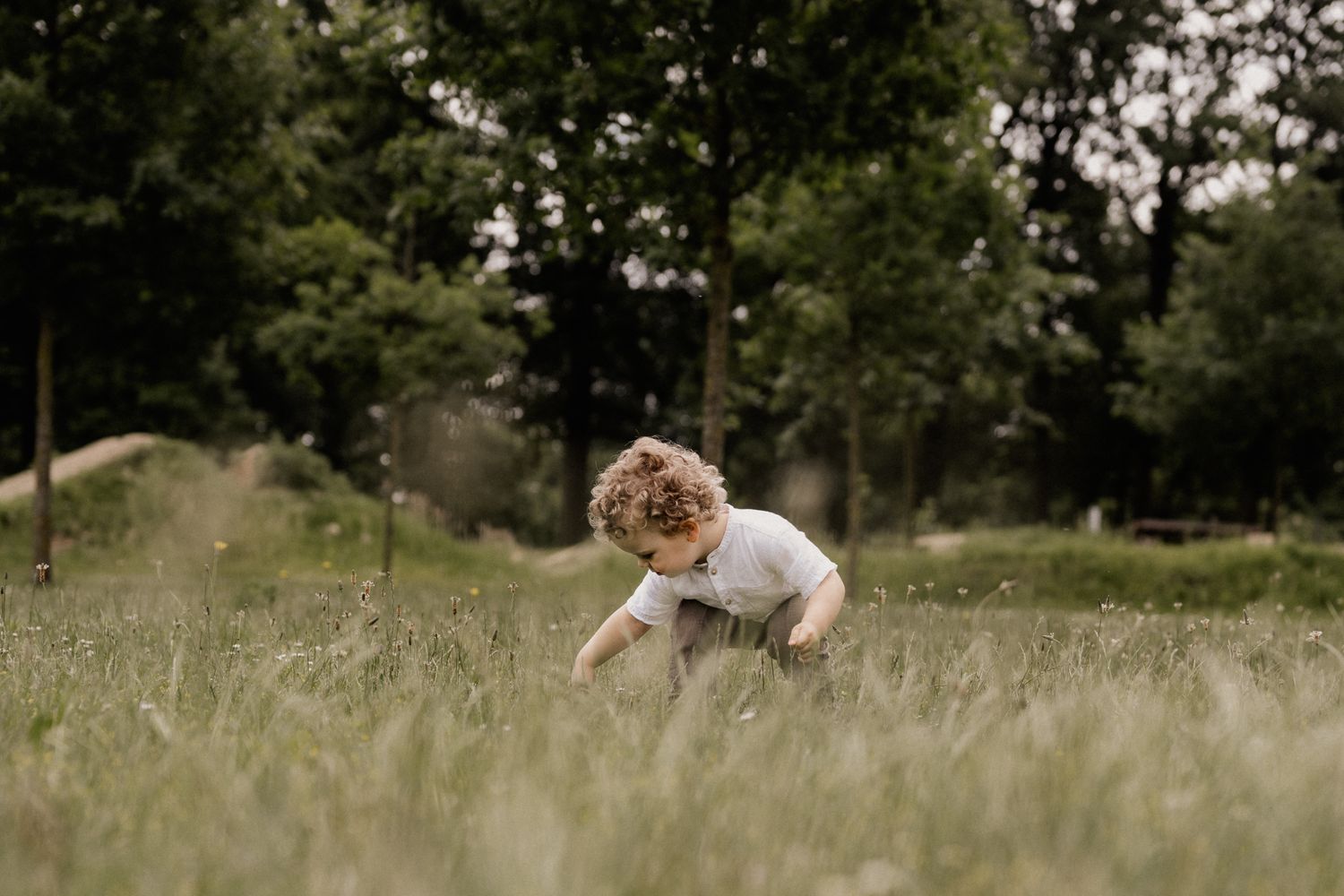 A child playing and jumping in a tall grass meadow during a sunny summer day.
