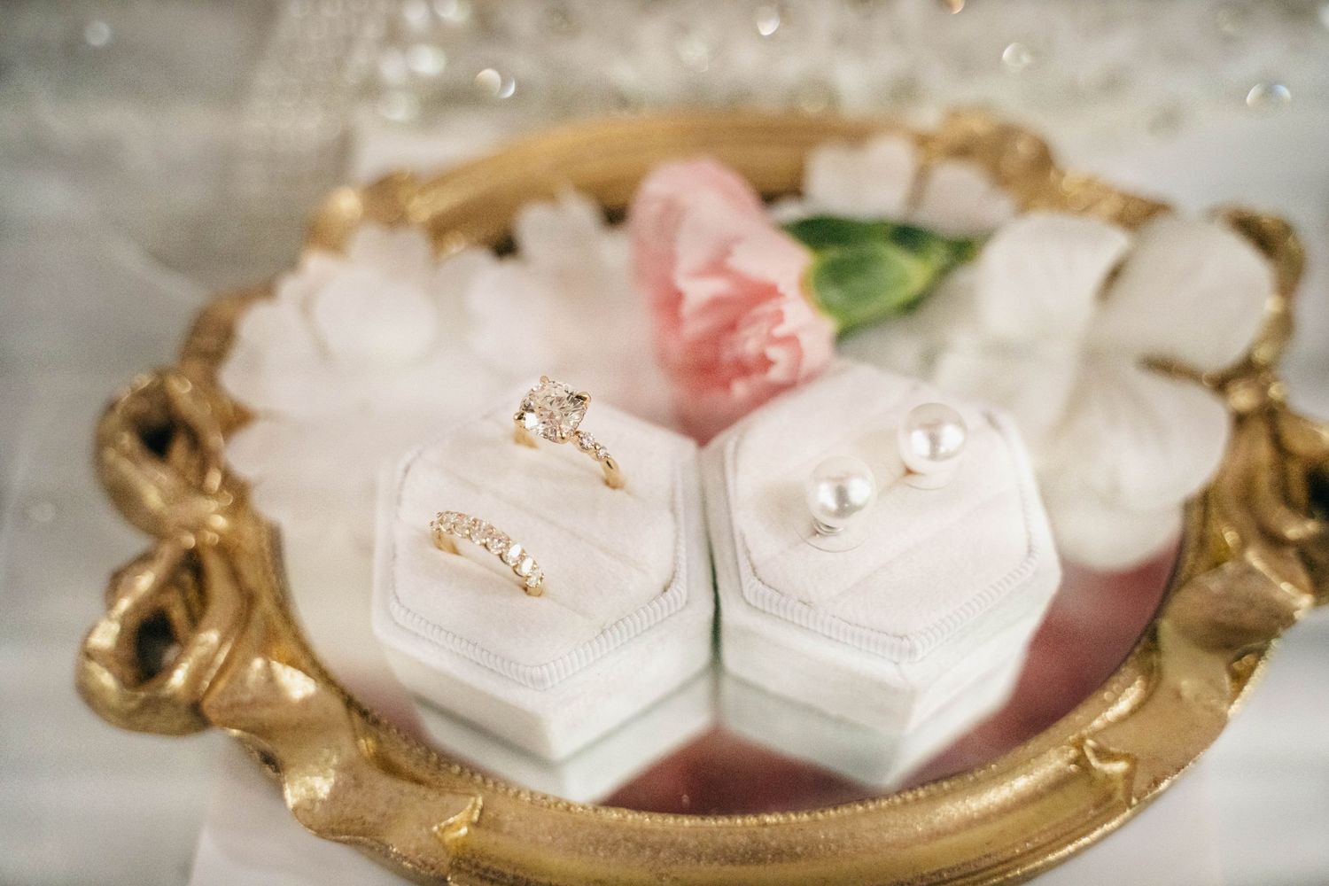 Wedding rings nestled on a velvet display, reflecting soft light. Calgary wedding.