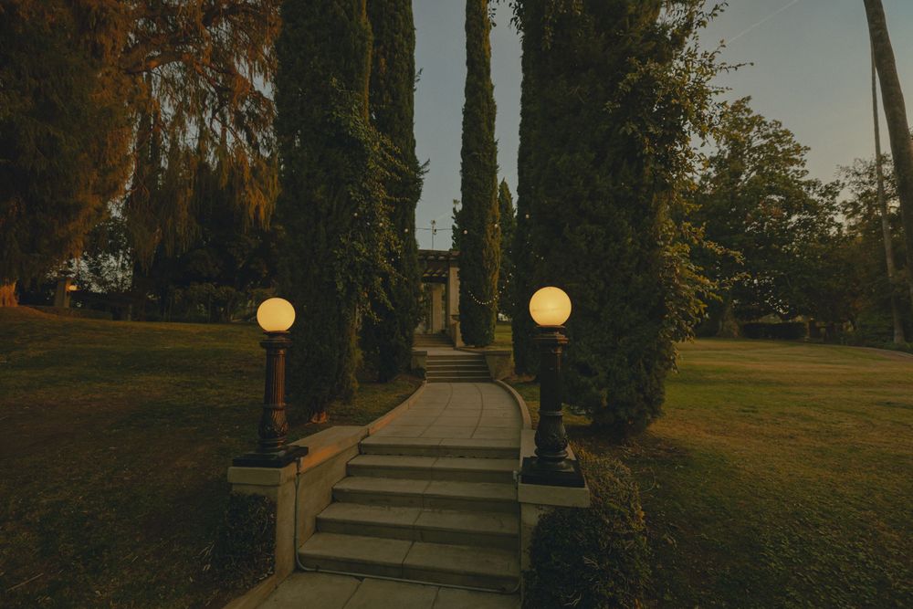 Stone steps with illuminated globe lamps and tall trees creating a moody evening garden pathway.