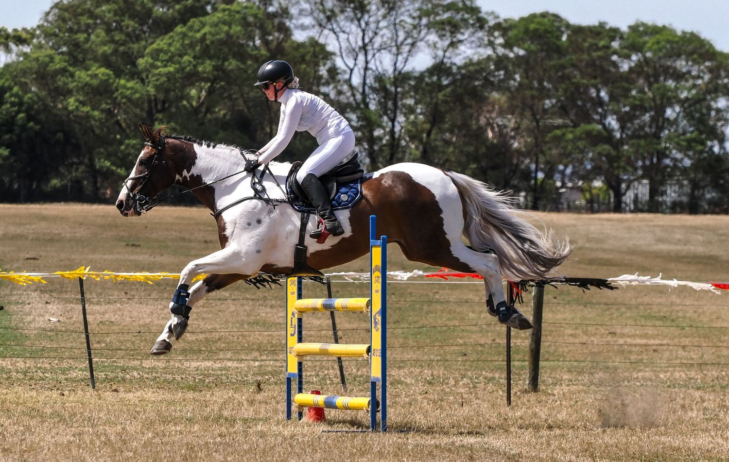 A white horse and rider gracefully soaring over colorful show jumping poles on a grassy field.
