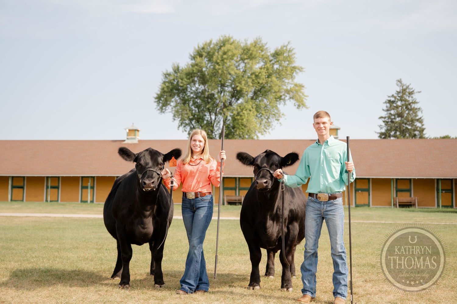 Show cattle and their handlers pose in front of agricultural buildings on fairgrounds.