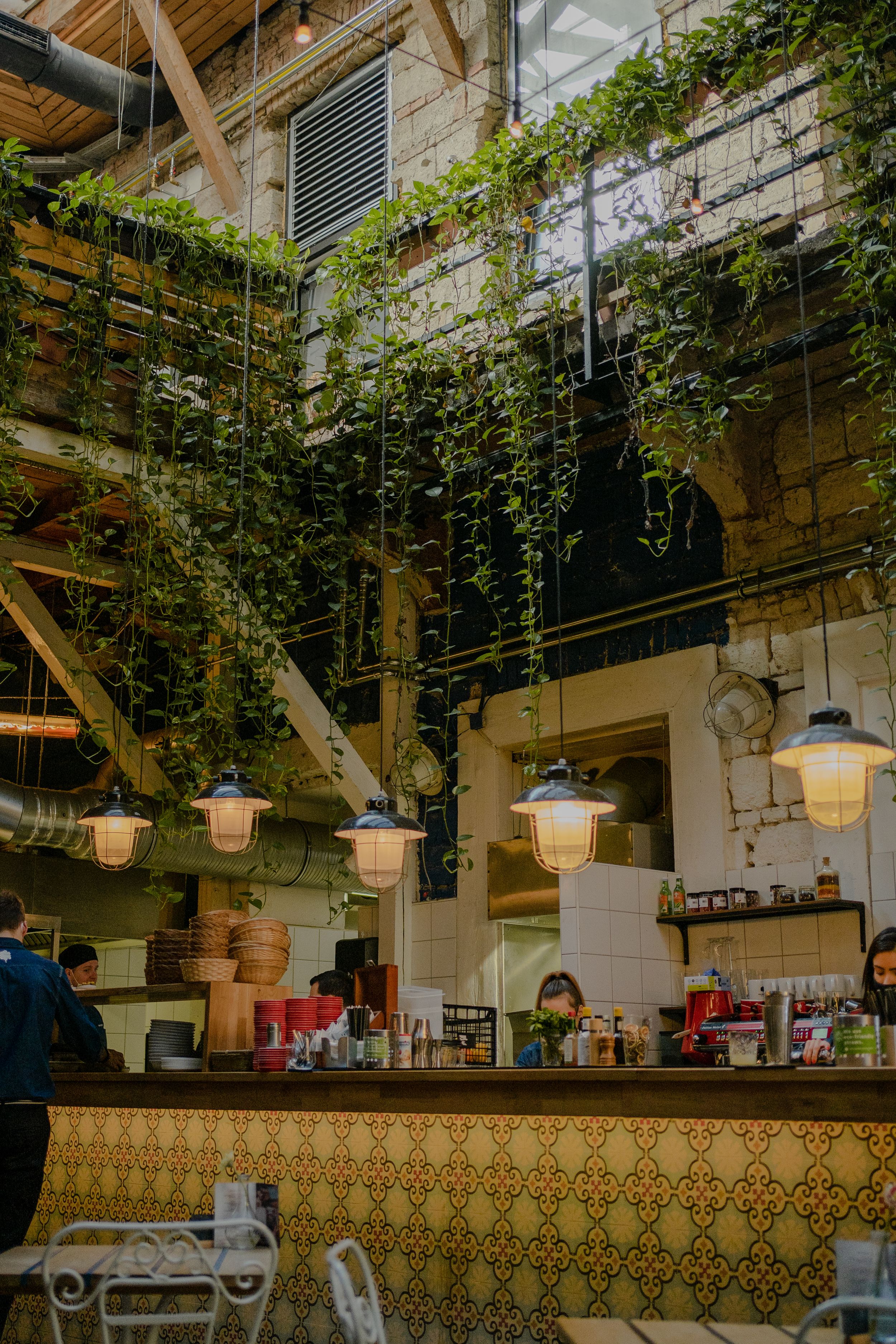 A rustic restaurant interior with hanging lanterns and ivy vines cascading from wooden beams near a tiled bar counter.