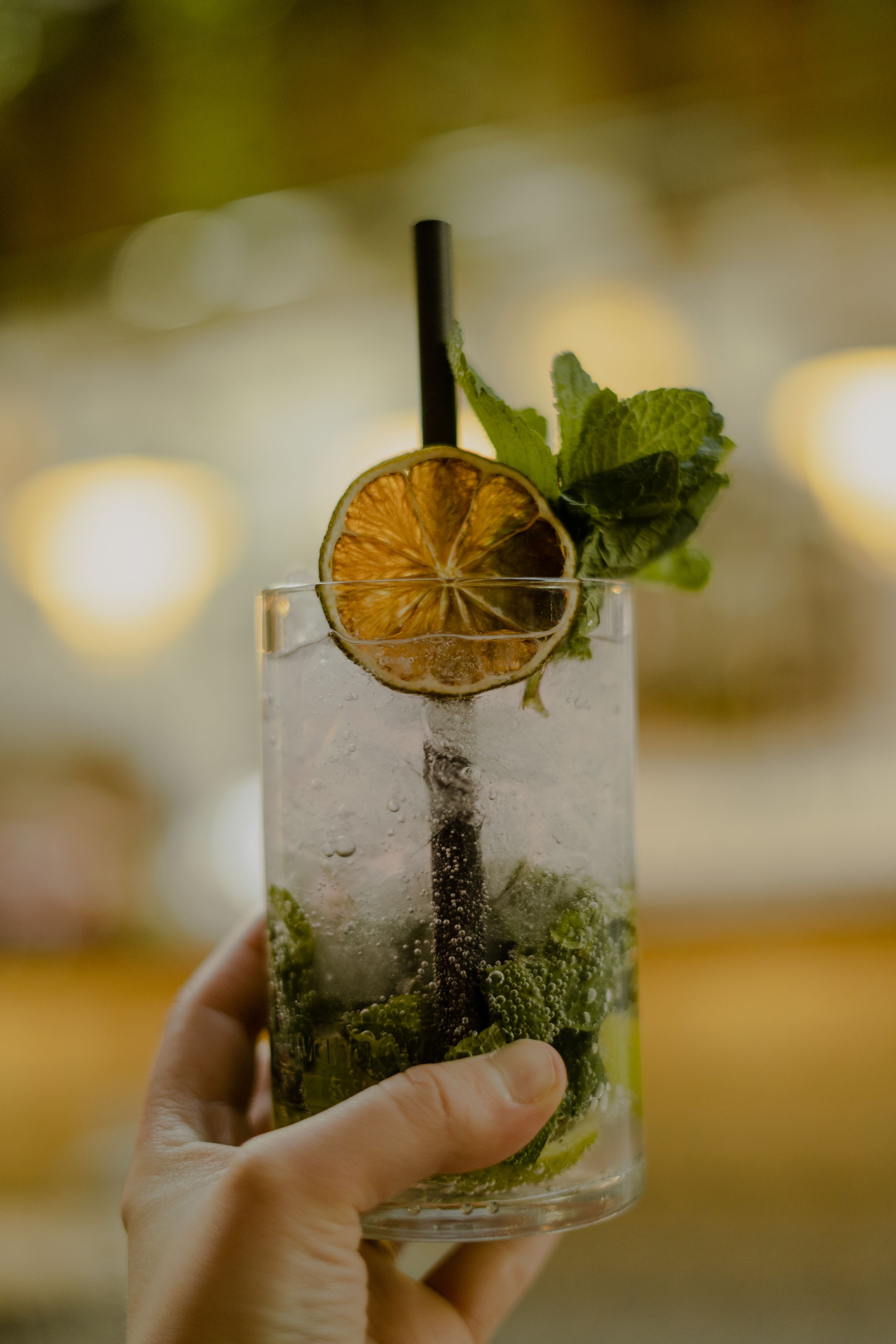 Hand holding a refreshing mojito cocktail garnished with mint leaves and a dried citrus wheel over a blurred background.