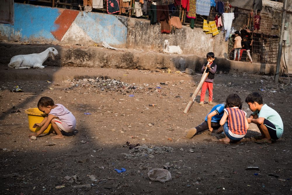 Children playing cricket in a dusty street in an urban slum area with animals nearby.