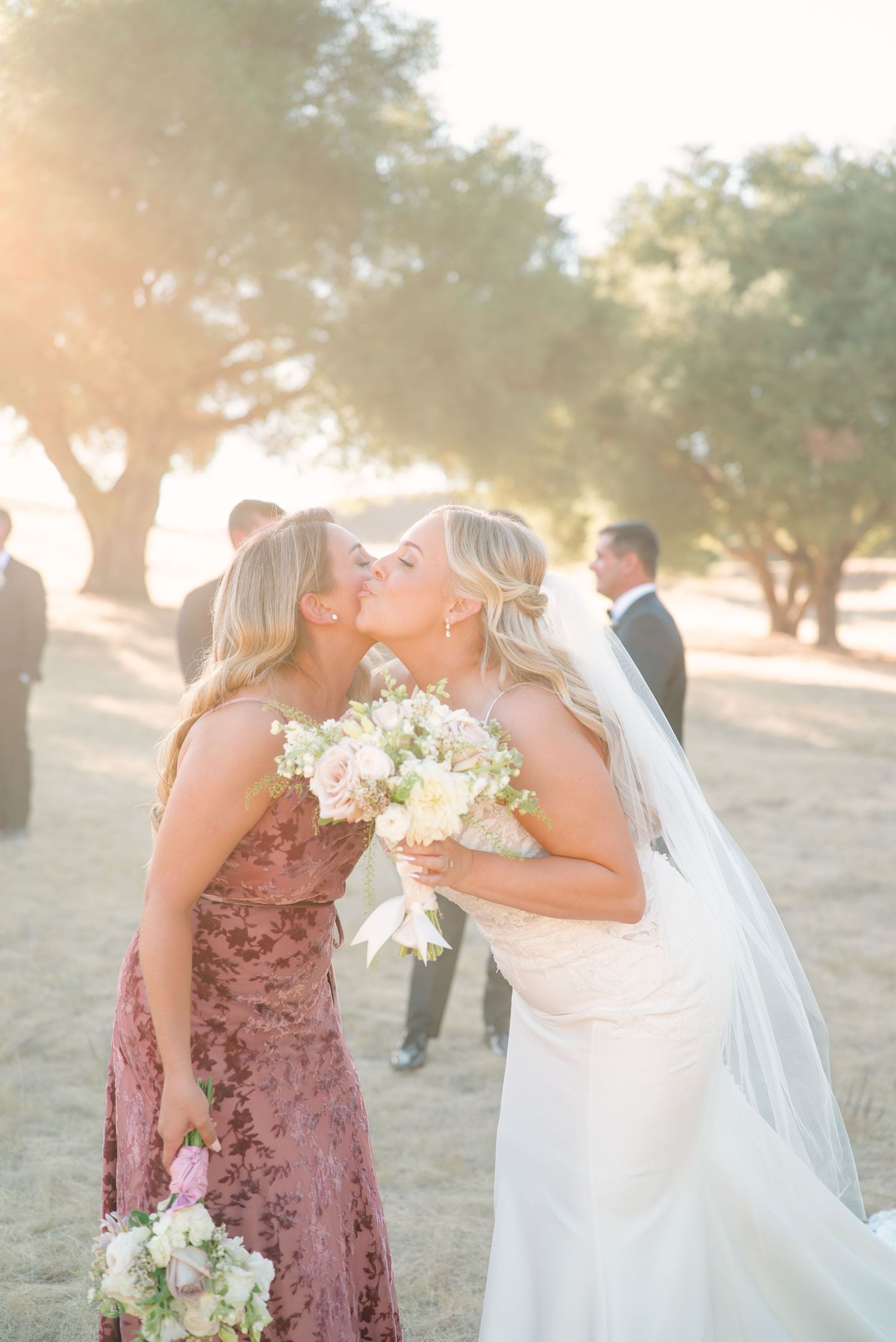 Wedding party members share emotional moments in a sun-drenched olive grove setting.