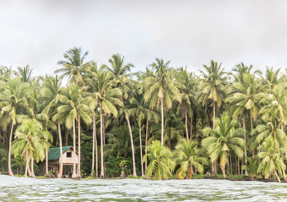 Siargao Surf Photographer, Surfing Photo and Video Sessions. Real Estate, Food, Products, Lifestyle. Postcards. Prints. Photo Stock, Siargao