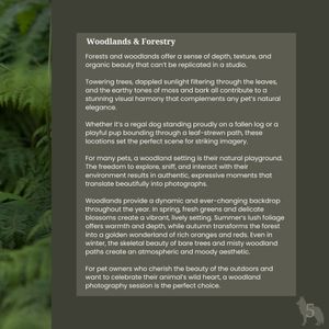 Woodland forest scene with green ferns and text overlay about woodlands and forestry in nature photography.