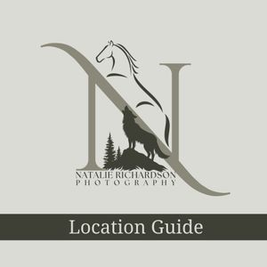 Elegant photography logo design featuring a horse silhouette and evergreen trees incorporated into the letter N.