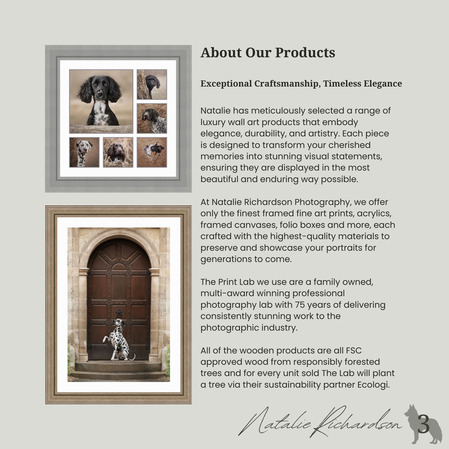 Elegant framed wedding photo display with text about photography products and services.