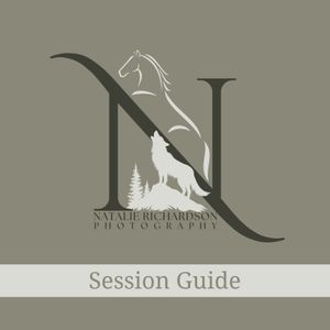 Elegant photography logo design featuring a horse silhouette and pine trees in sage green and white color scheme.