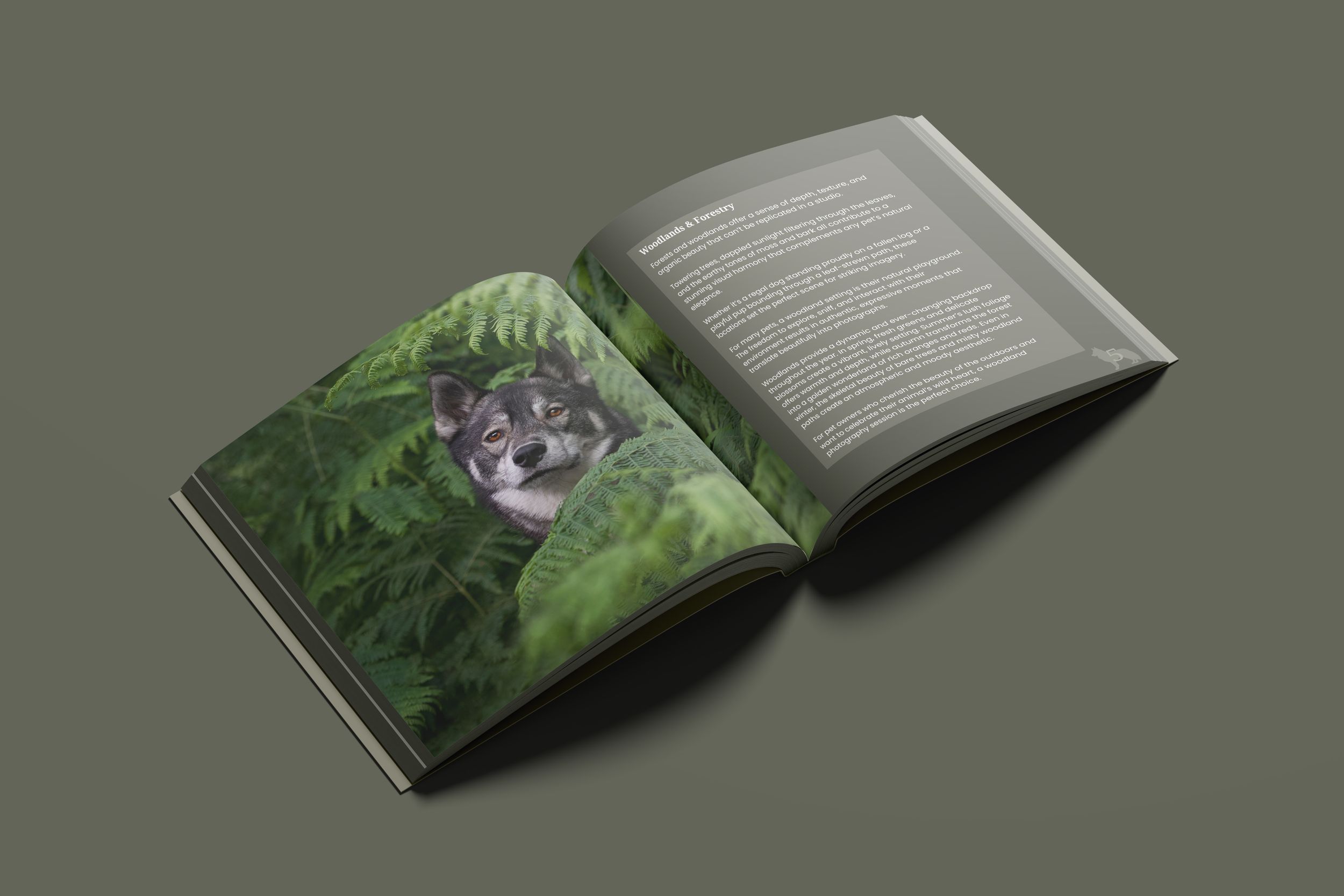 An open book with green nature photography pages lies on a dark surface with dramatic lighting.