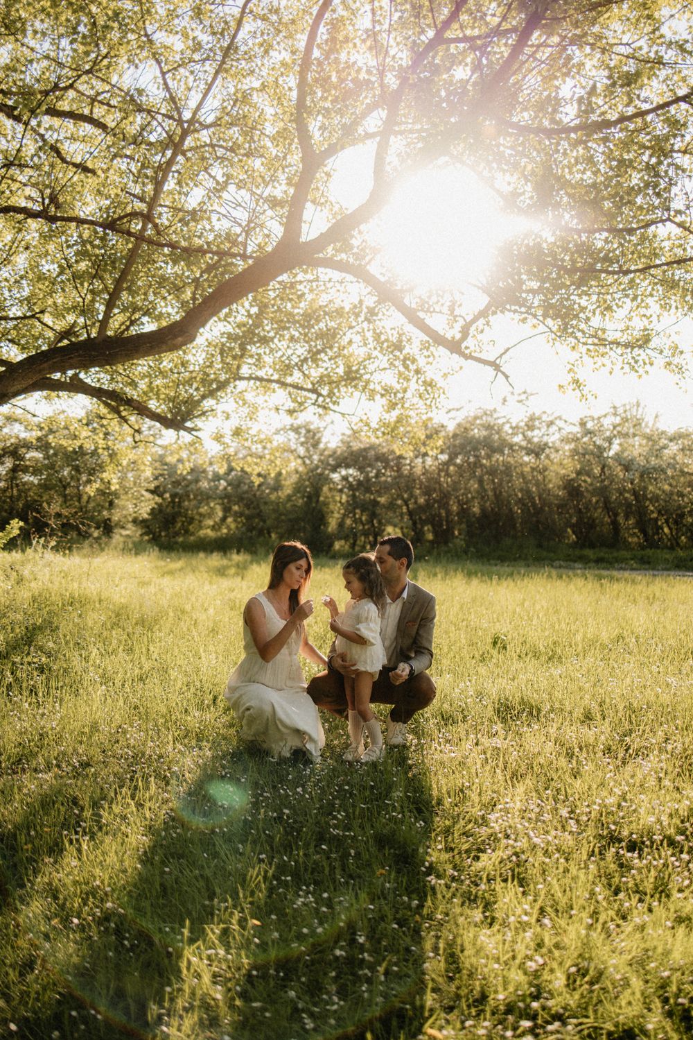 Two people sit together in a sunlit meadow beneath a large tree during golden hour.