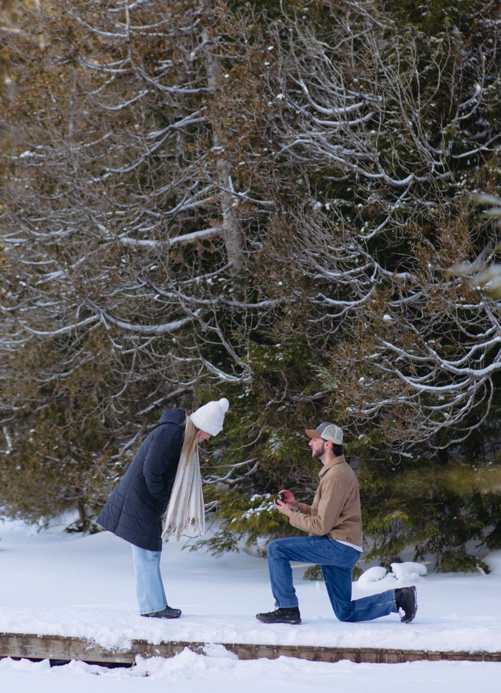 A sequence of photos showing a romantic winter proposal in the snow with evergreen trees in the background.