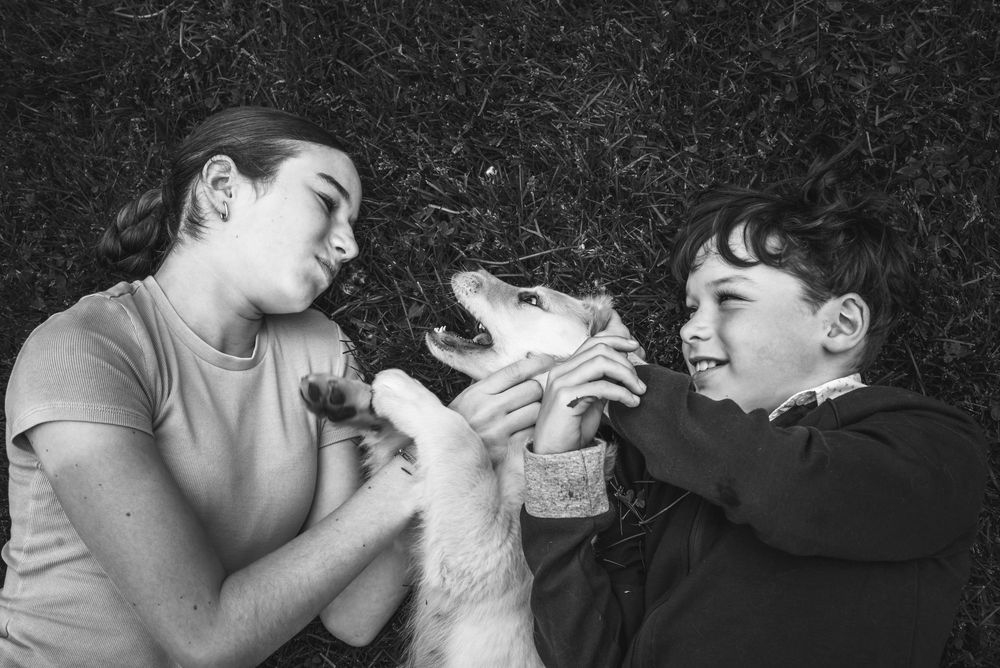 A girl and boy lay in the grass with a puppy laying between them.