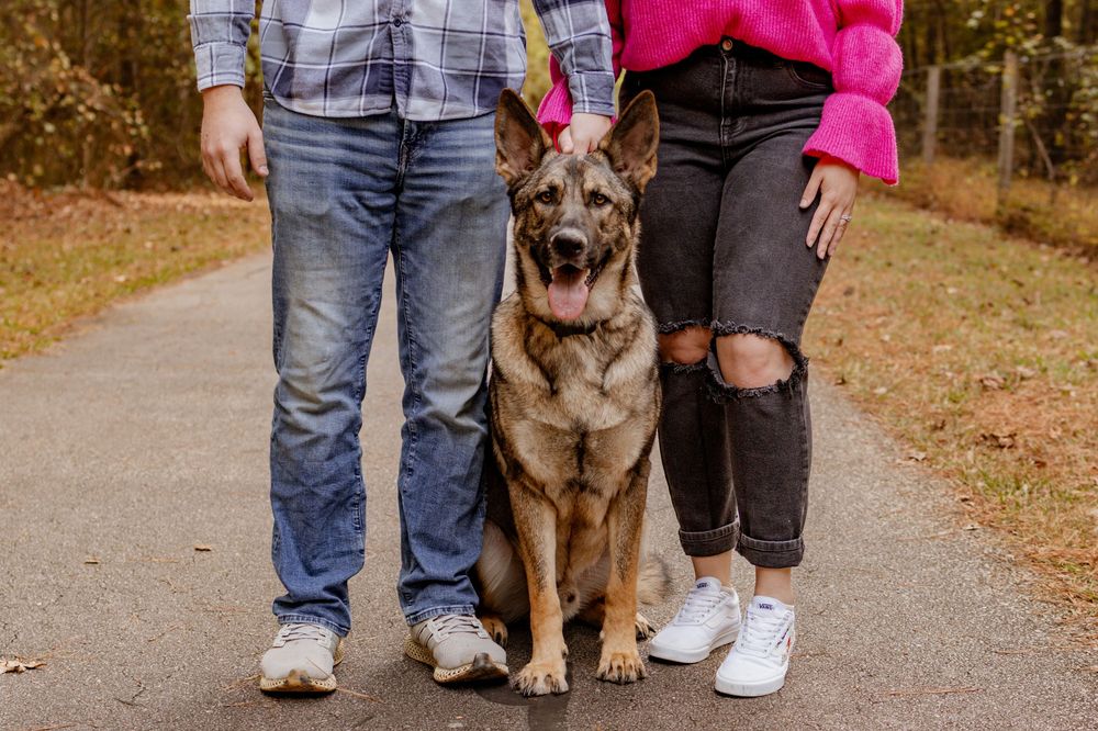 a close up portrait of a dog standing between a man and women