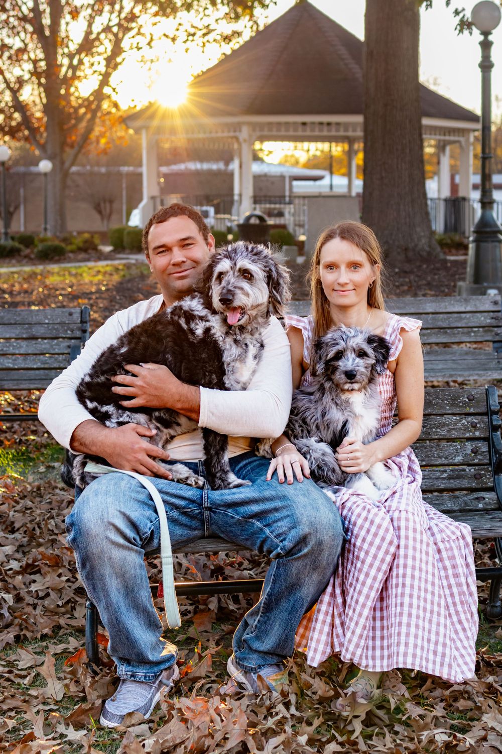 a couple sitting with two dogs