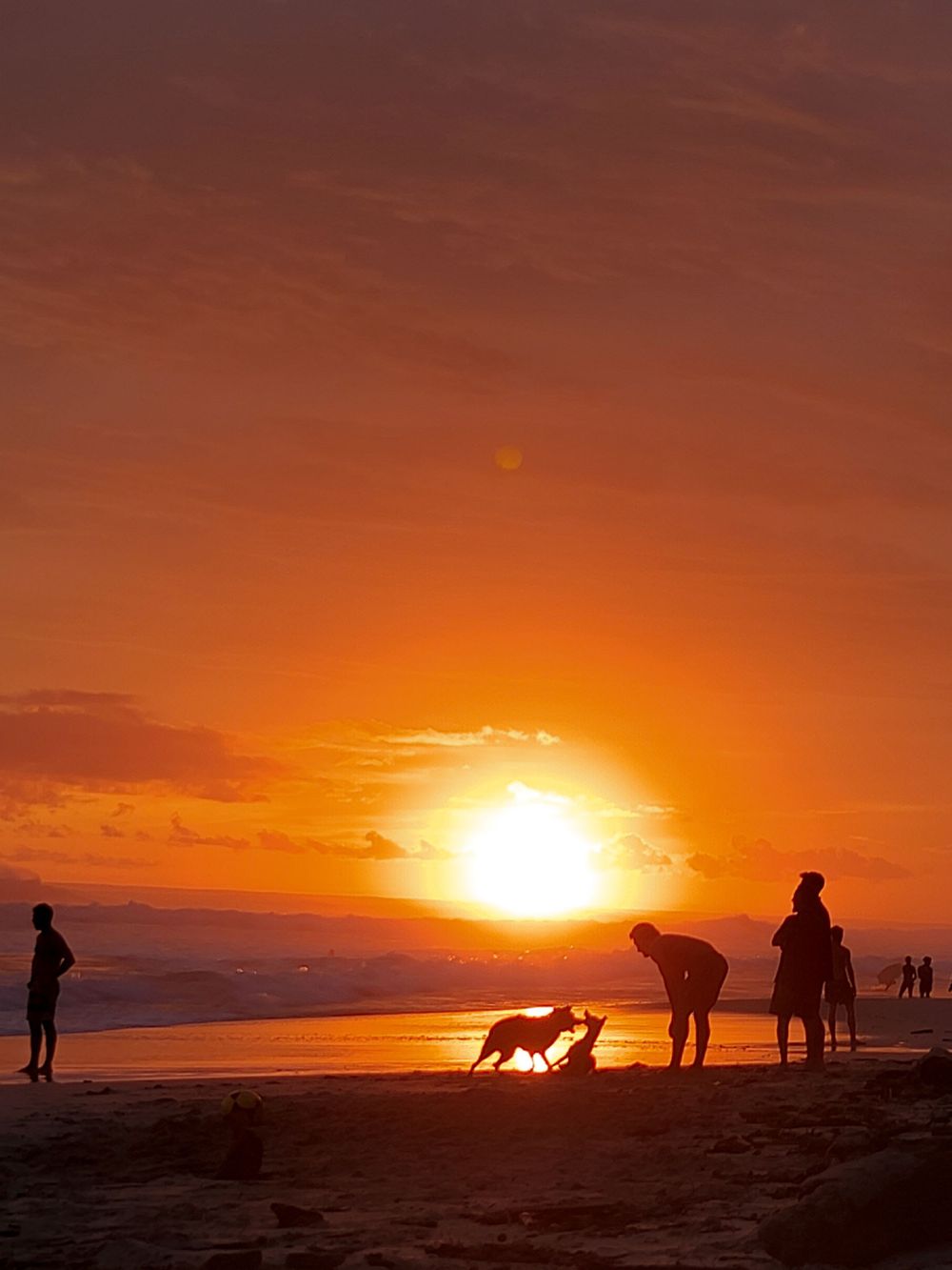 Silhouettes of beachgoers and a dog against a vibrant orange sunset on the shore.