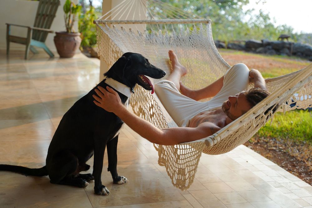 Romantic couple lounges in a white hammock during their beach resort honeymoon photoshoot at sunset.