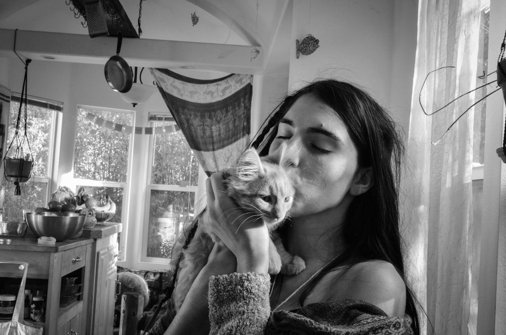 A tender moment shared between a cat and its companion in a sunlit room.