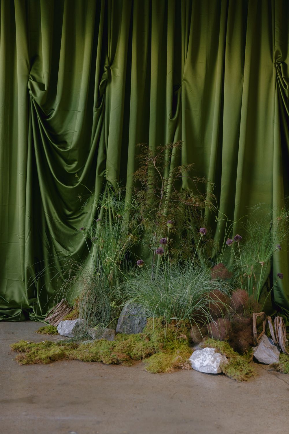 Lush green bamboo plants create a natural backdrop against a dark wall.